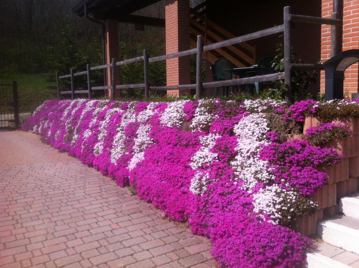 Agriturismo Altana Del Motto Rosso Gattico ภายนอก รูปภาพ